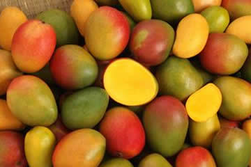 Mangos & Change