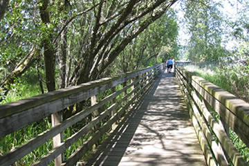 Shaping the Path Works