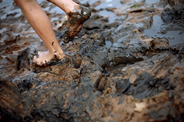 Wading Through the Mud
