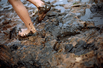 Wading Through the Mud